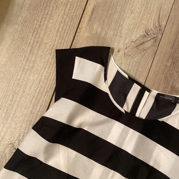 The Limited Women’s Small Button Up Back Sheer Blouse - Picture 3 of 5